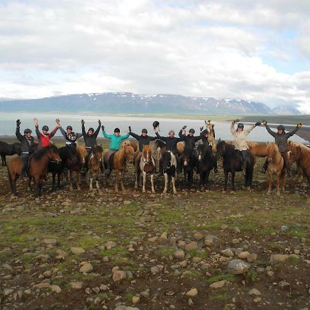 Icelandhorsetours - Helluland Saudarkrokur 外观 照片