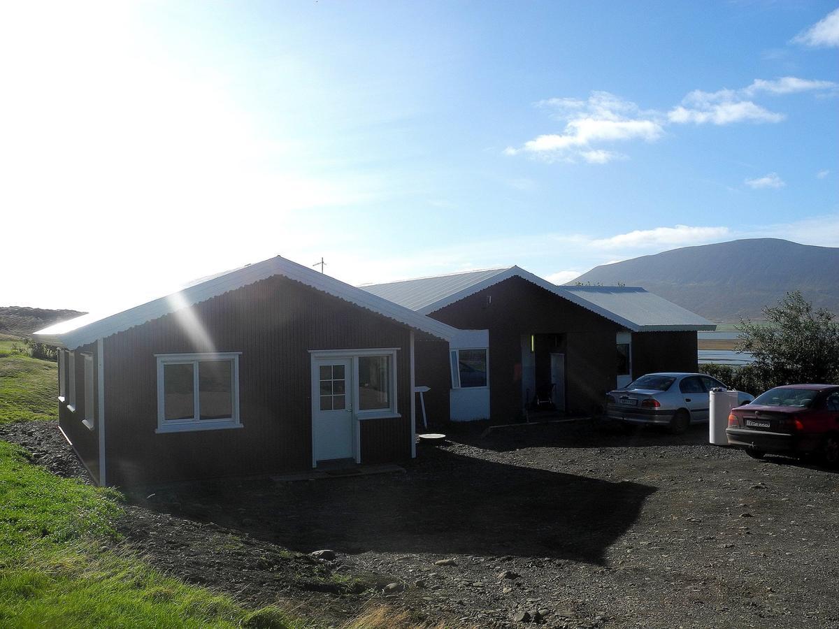 Icelandhorsetours - Helluland Saudarkrokur 外观 照片