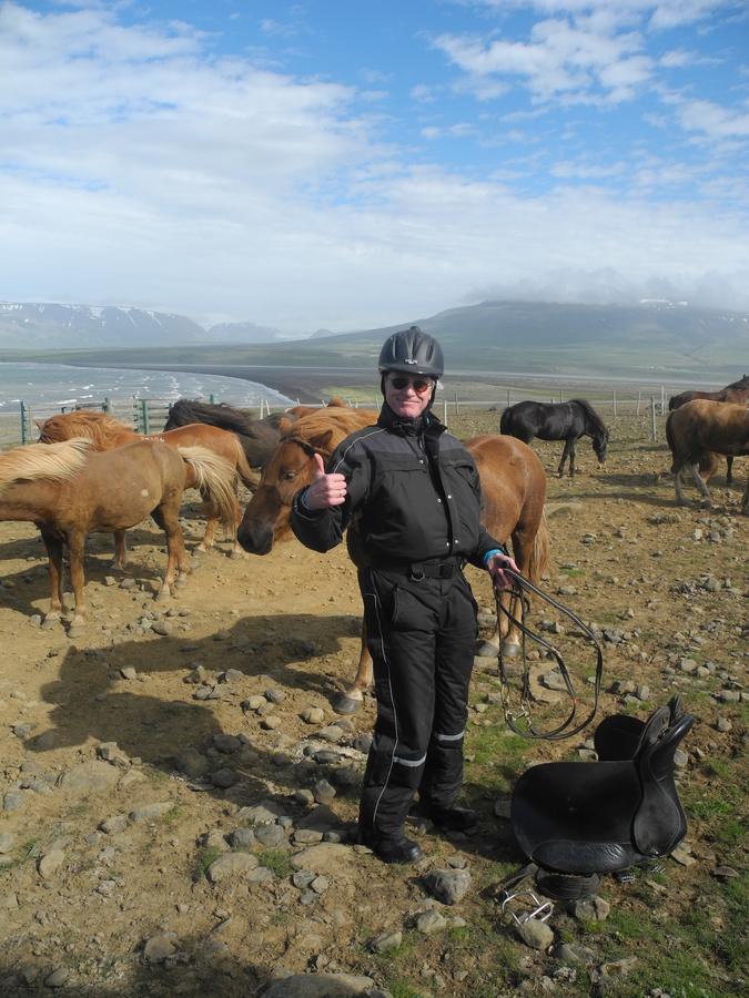 Icelandhorsetours - Helluland Saudarkrokur 外观 照片