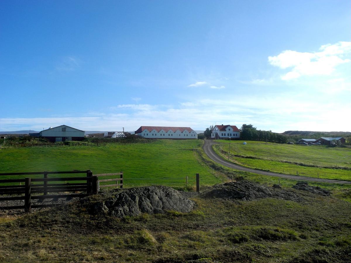 Icelandhorsetours - Helluland Saudarkrokur 外观 照片
