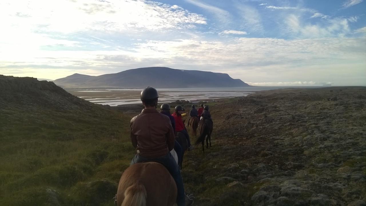 Icelandhorsetours - Helluland Saudarkrokur 外观 照片
