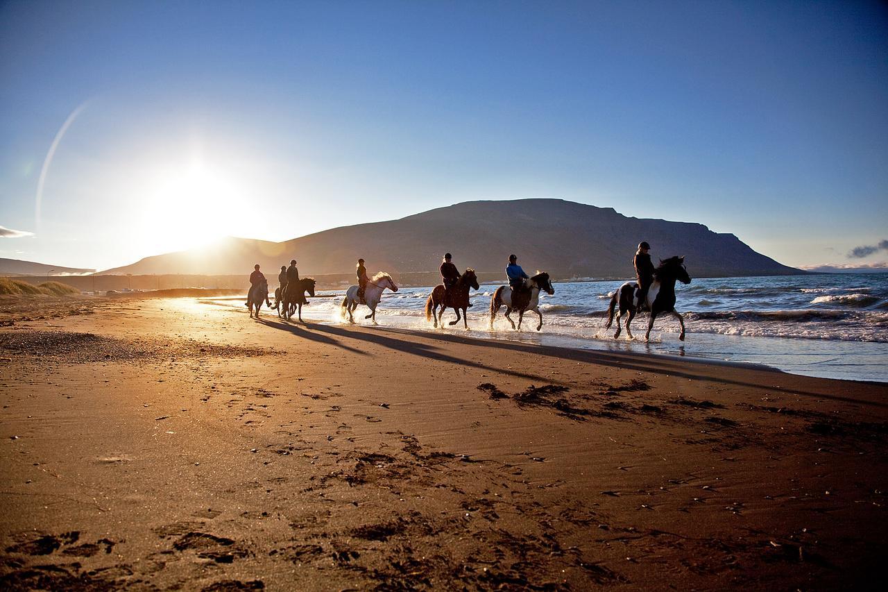 Icelandhorsetours - Helluland Saudarkrokur 外观 照片