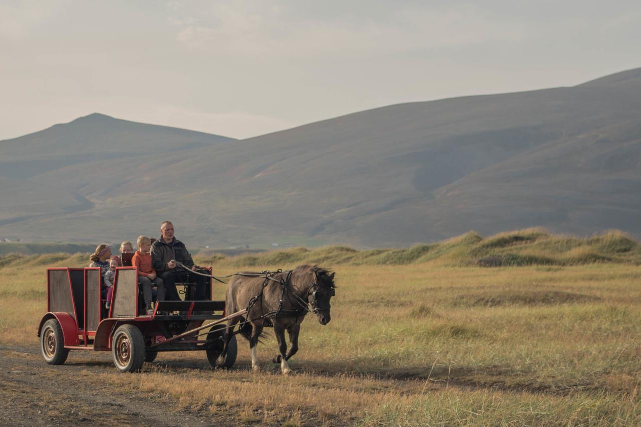 Icelandhorsetours - Helluland Saudarkrokur 外观 照片